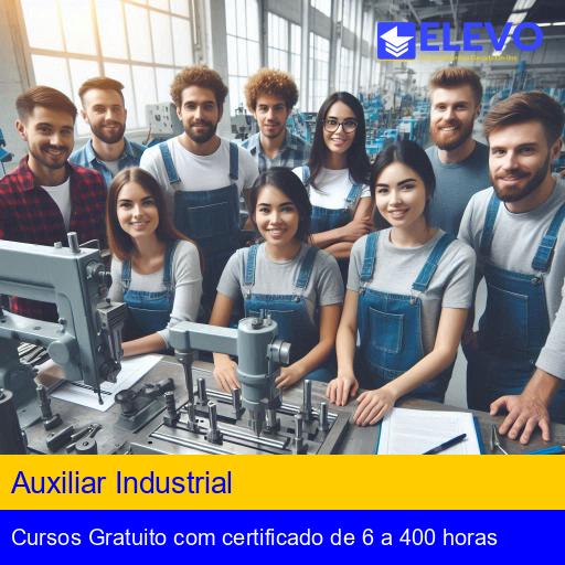 Auxiliar Industrial